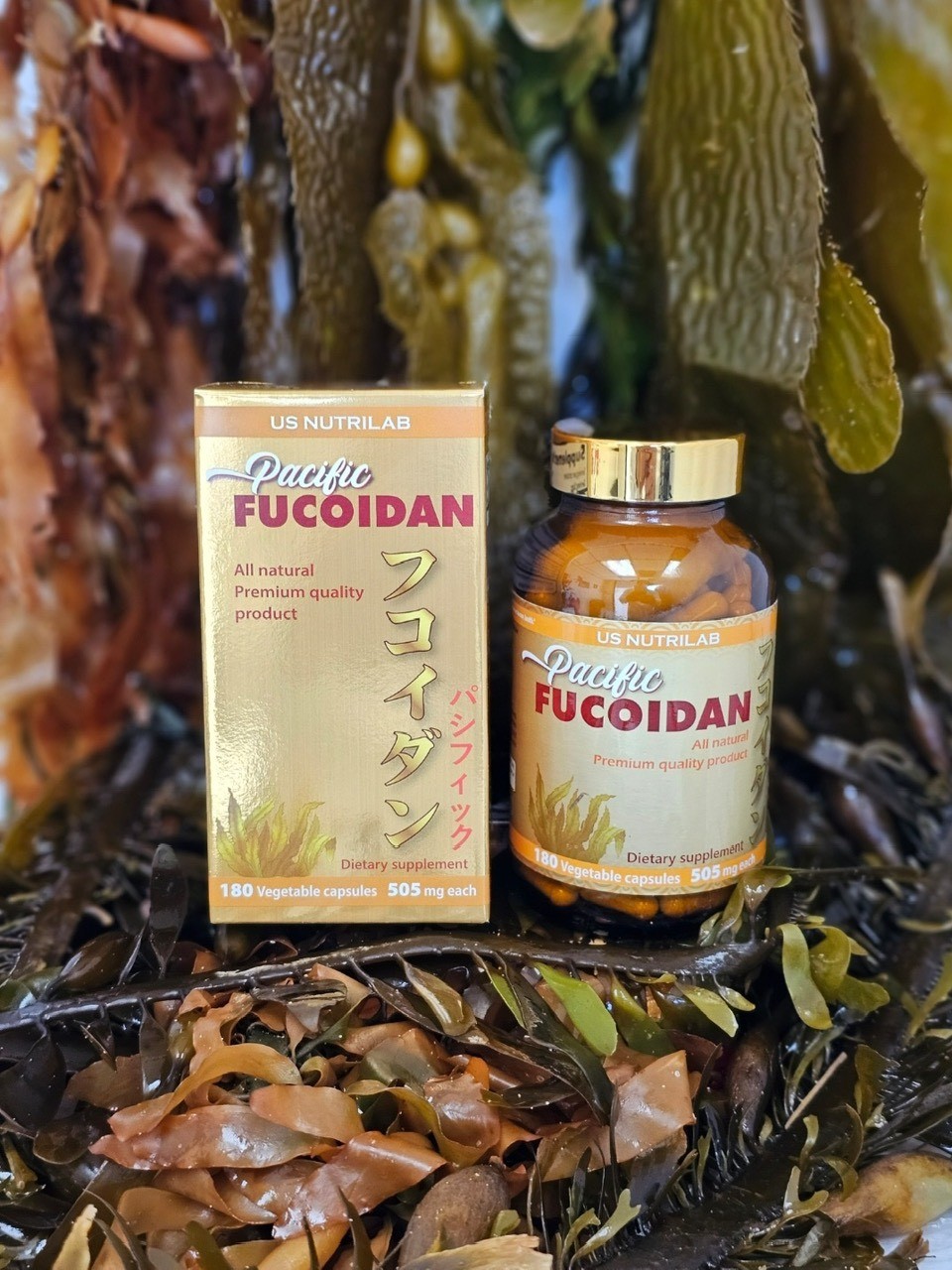 Pacific Fucoidan trung hòa các gốc tự do